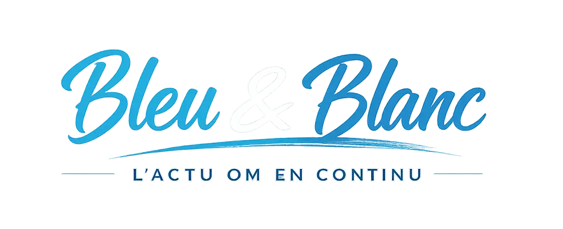 Logo Bleu & Blanc vf